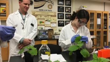 Prof. Zerbe teaching his CURE course in the BioInnovation Lab.