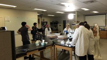 A team of designers, biologists and engineers share their work for a documentary in the BioInnovation Lab.