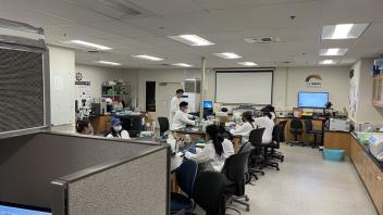 Undergraduates working on a variety of projects in the BioInnovation Lab.