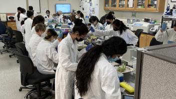 Undergraduate students working on a BIG-RT module.