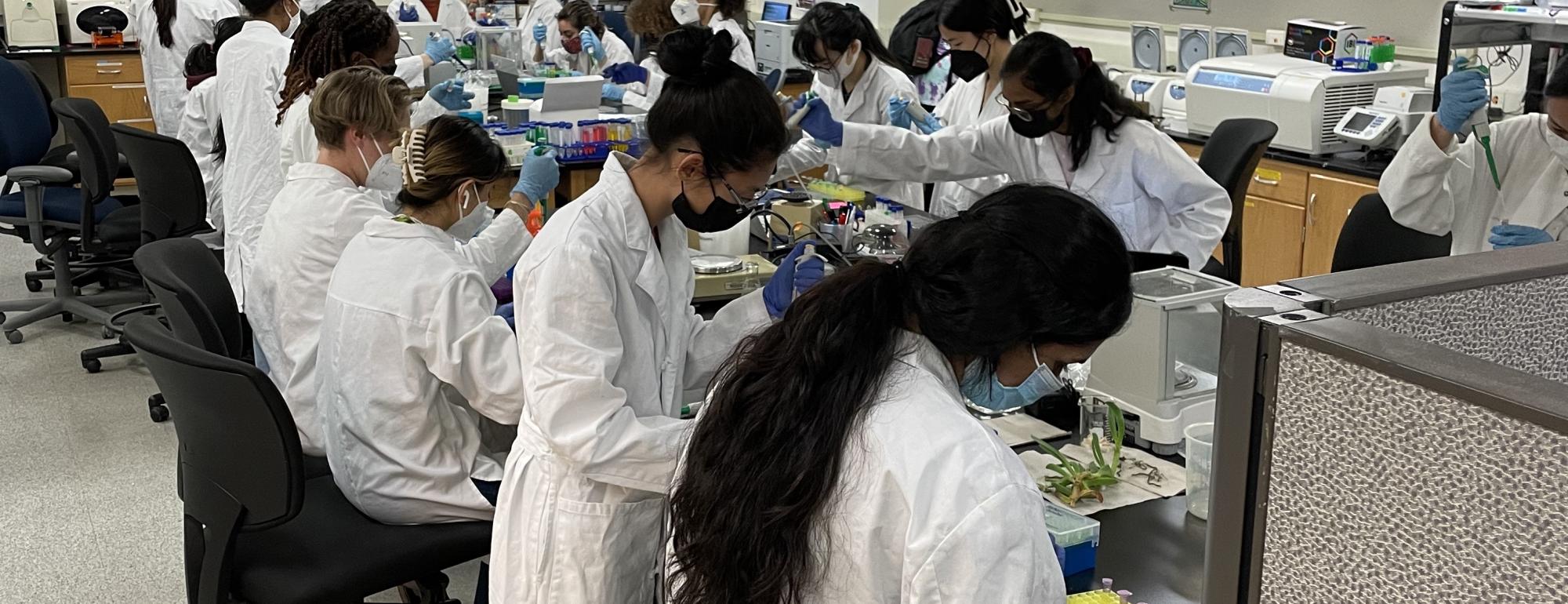 Students Training in the BioInnovation Lab