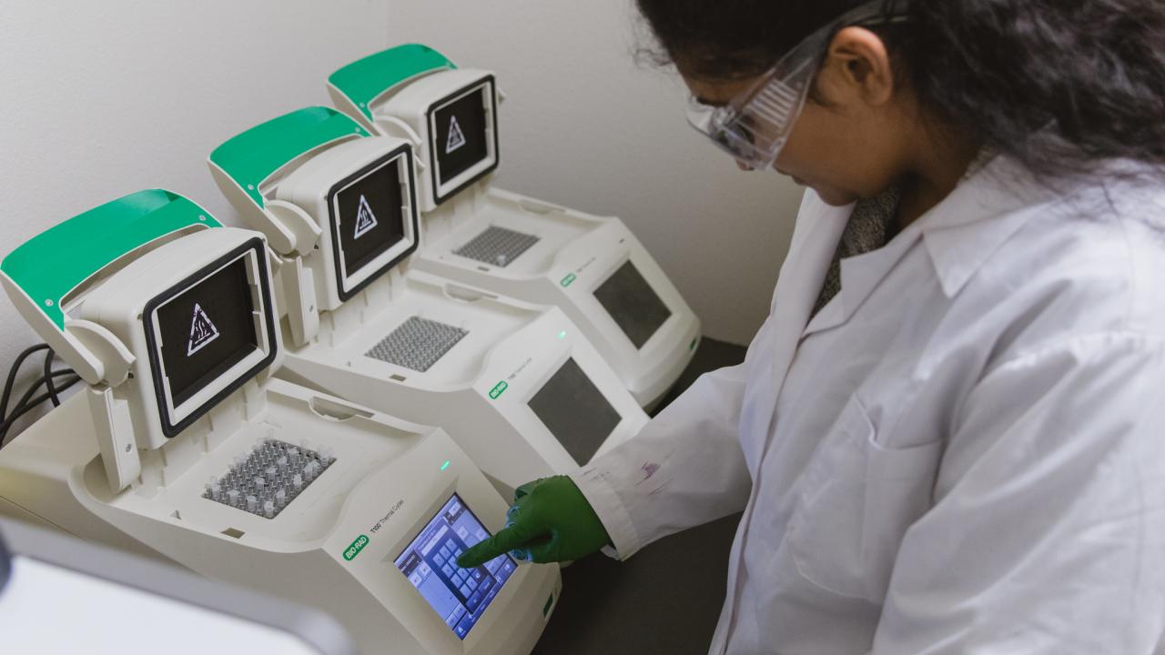 Student prepares a PCR in the thermocycler in the BioInnovation Lab