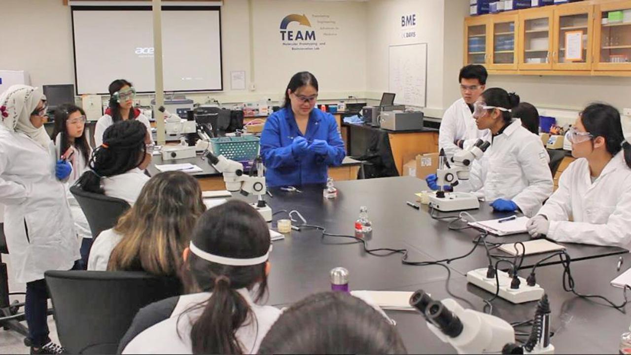 Dr. Julie Luu teaches her CURE course in the BioInnovation Lab.