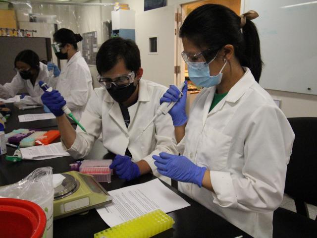 Students practice pipetting in the BioInnovation Lab.