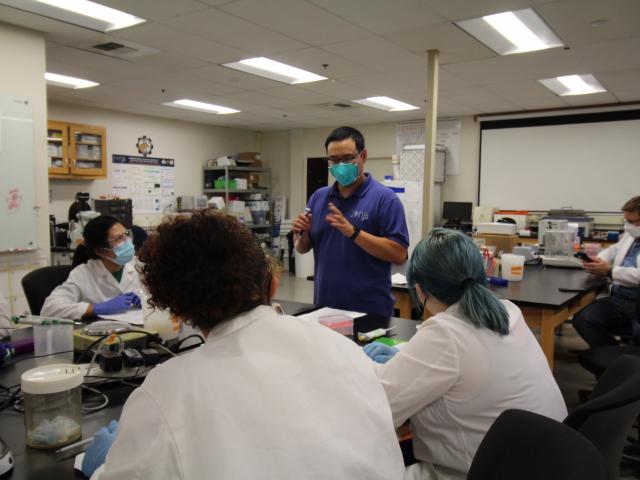 Advisor mentors students in the BioInnovation Lab.