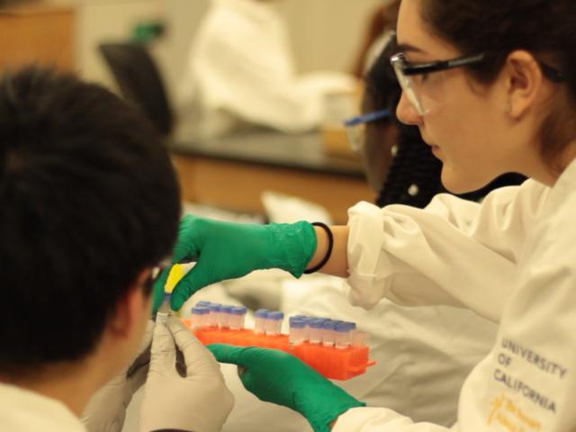 Students work in the BioInnovation Lab.