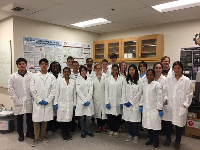 Students in the BioInnovation Lab.