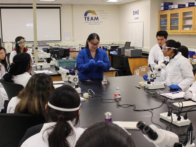 Dr. Luu teaches her CURE course in the BioInnovation Lab.