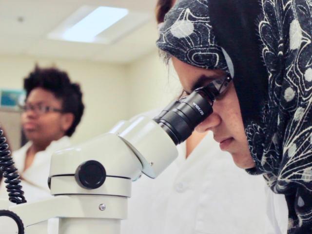 Student uses microscope in the BioInnovation Lab