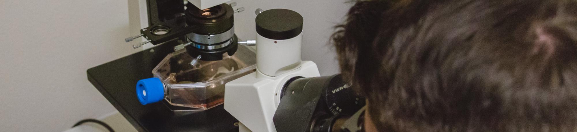 Undergraduate uses microscope in BioInnovation Lab.