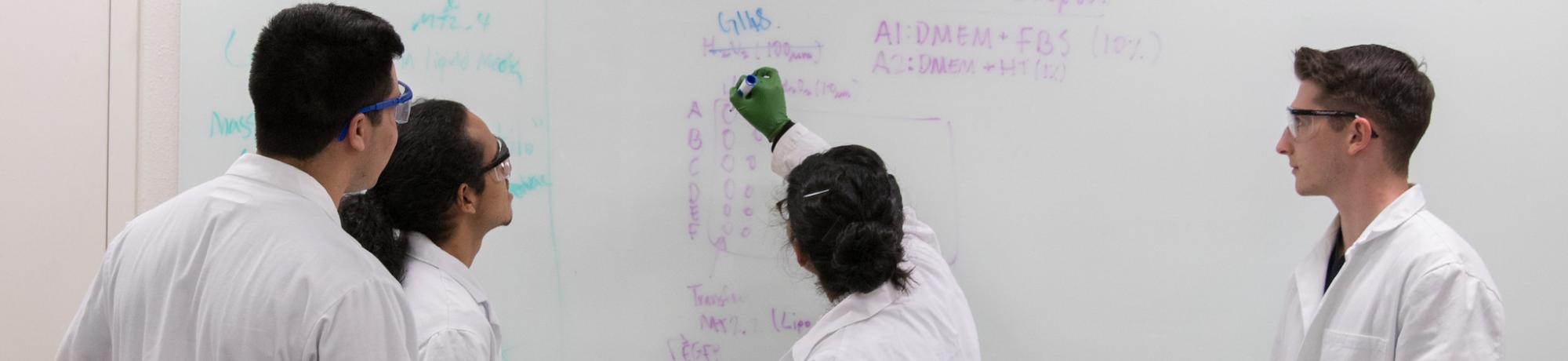 Undergraduate students plan an experiment in the BioInnovation Lab