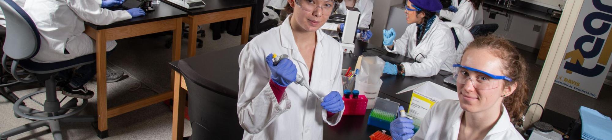 Undergraduate students in the BioInnovation Lab.