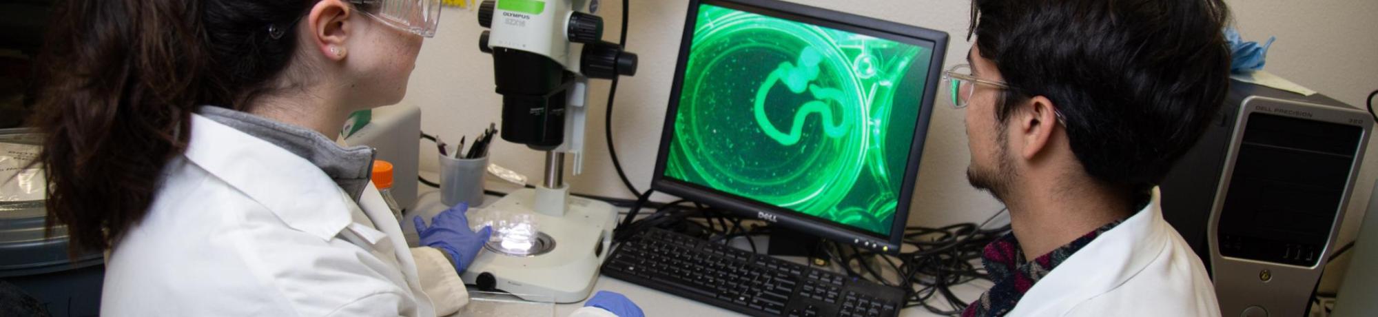 BIG students use microscope in BioInnovation Lab.