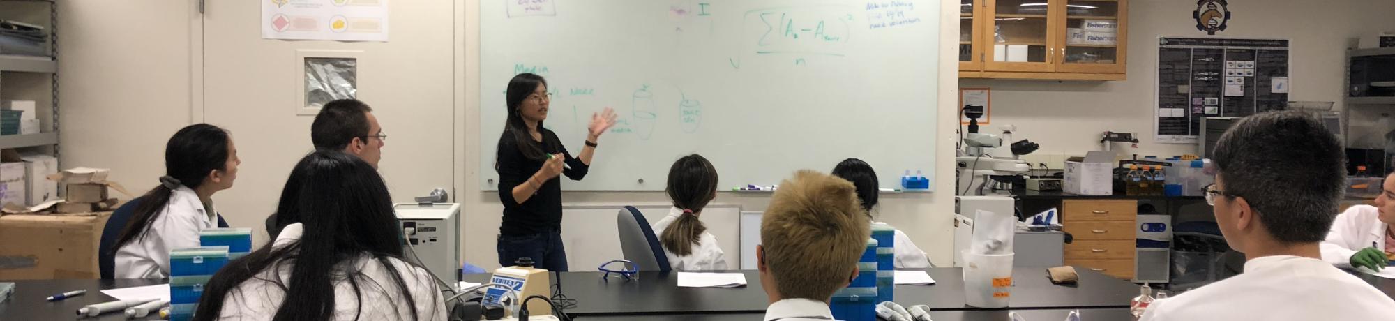 Instructor teaches BIS 23 in the BioInnovation Lab.